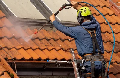 Démoussage et hydrofuge de toiture à Marlhes
